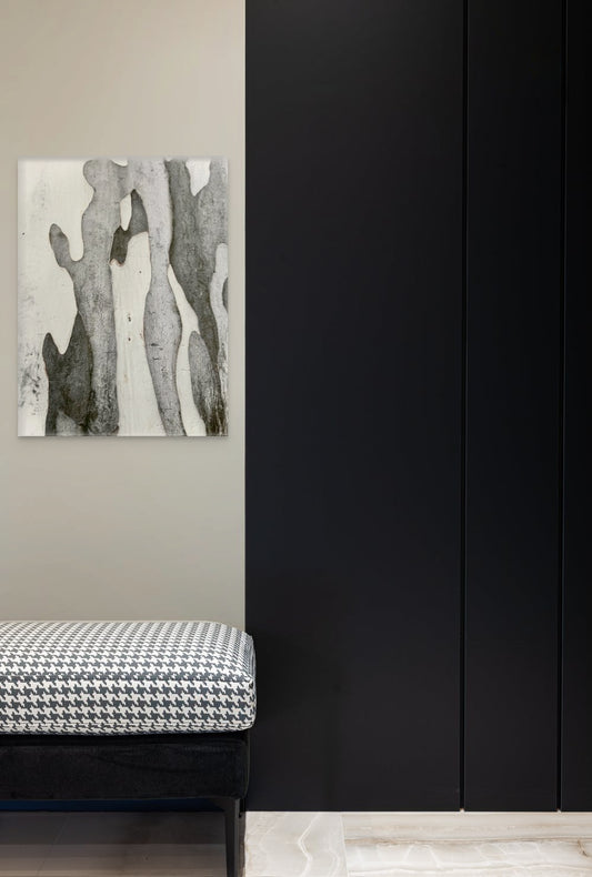 Birch Abstract Canvas Framed